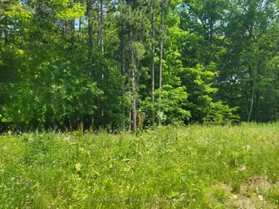 Lot 71 Whispering Pine Circle, Tiny, On L9m 0c2