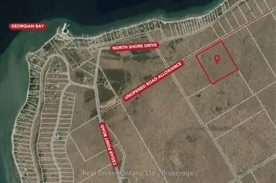 Vacant Land in Tiny