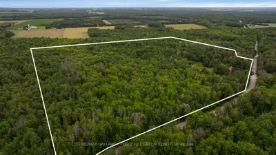3664 Hogback Road, Clearview, On L0m 1n0