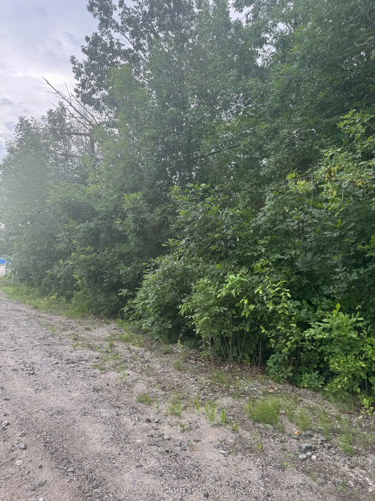 3330 Quetton Street, Severn, On L0k 2b0