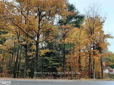 Lot 354 Desroches Trail Nw, Tiny, On L9m 0h9