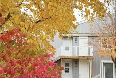 19 Dawson Drive 57, Collingwood, On L9y 5b4