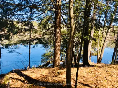3197 Severn River, Severn, On K0k 1e0