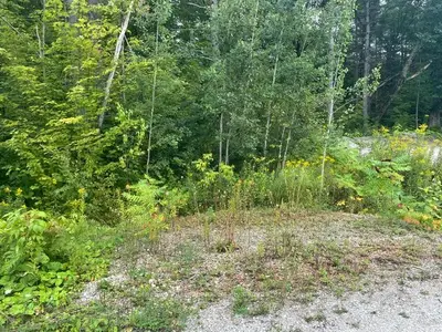 7859 Pineridge Road, Ramara, On L0k 2b0