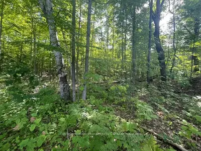 7859 Pineridge Road, Ramara, On L0k 2b0