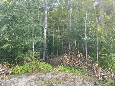 7865 Pineridge Road, Ramara, On L0k 2b0