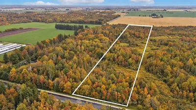 1659 County Road 92, Springwater, On L0l 1p0