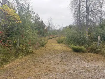 2667 Ramara Rd 47, Ramara, On L0k 1b0