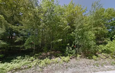 2 Birchwood Trail, Wasaga Beach, On L9z 1b3