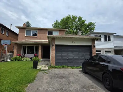 77 Trillium Crescent Basement, Barrie, On L4n 6h6