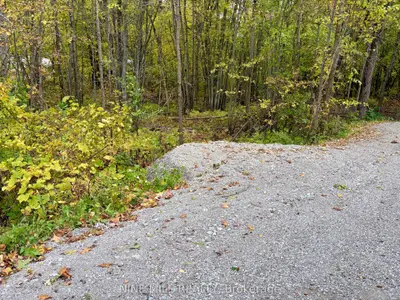 3159 Switch Road, Ramara, On L0k 2b0