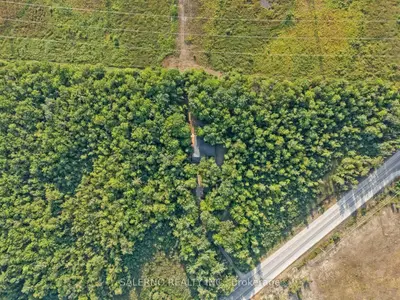 3992 Penetanguishene Road, Springwater, On L0l 1v0