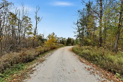 9417 91 County Road, Clearview, On L0m 1h0