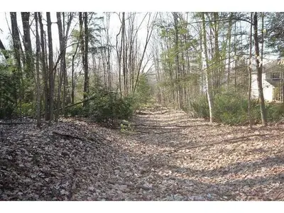 2210 SOUTH ORR LAKE Road, Springwater, ON L0L 1P0