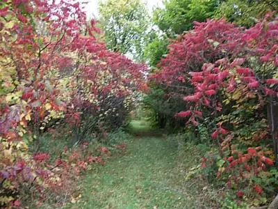 2456 15/16 Side Road E, Oro-Medonte, ON L0L 2T0