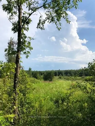 1309 Church Line Road S, Severn, ON L0K 1E0