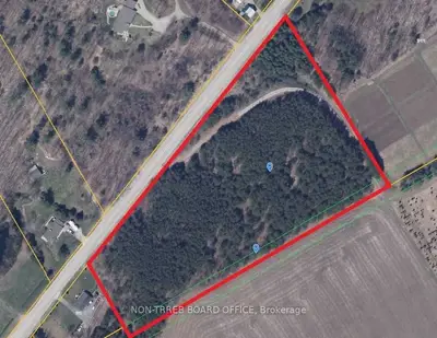 Vacant Land in Tiny