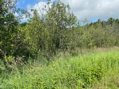1557 Scarlett Line, Oro-Medonte, ON L0L 1P0