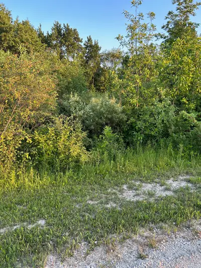 Vacant Land in Clearview