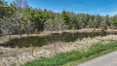 Lt 19 Line 8 N Line, Oro-medonte, On L0l 2e0