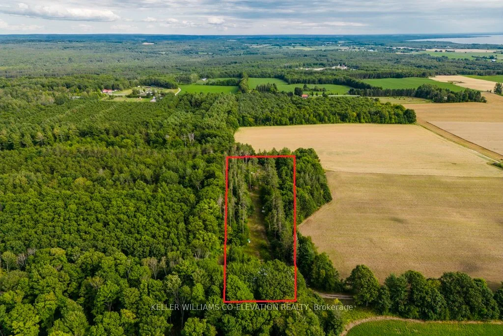 Vacant Land in Tiny