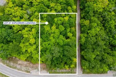 Vacant Land in Tiny