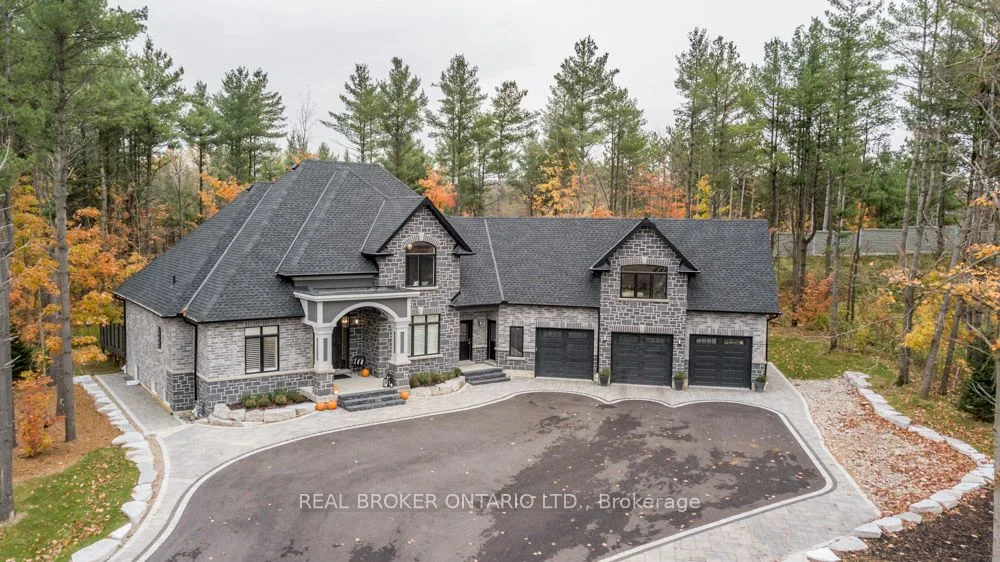 Detached in Springwater