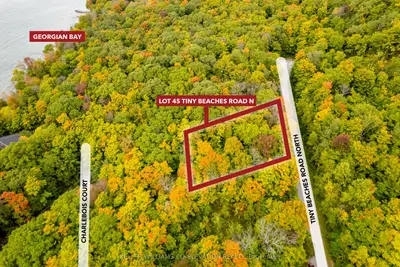 Vacant Land in Tiny