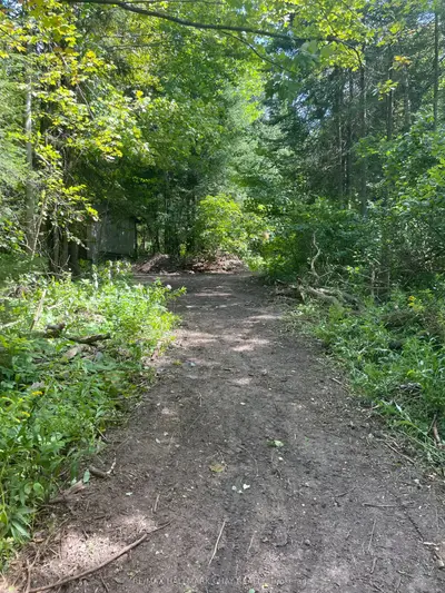 Blk D 56th Street S Pl1092, Wasaga Beach, On L9z 1w5