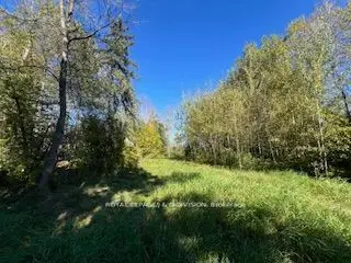 Vacant Land in Ramara