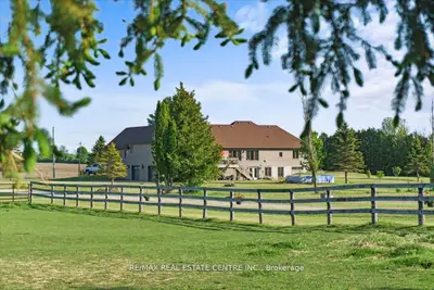 Detached in Tiny