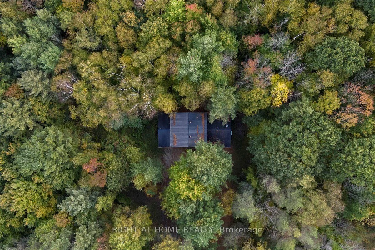 11 Teanaustaye Drive, Oro-medonte, On L0l 1v0