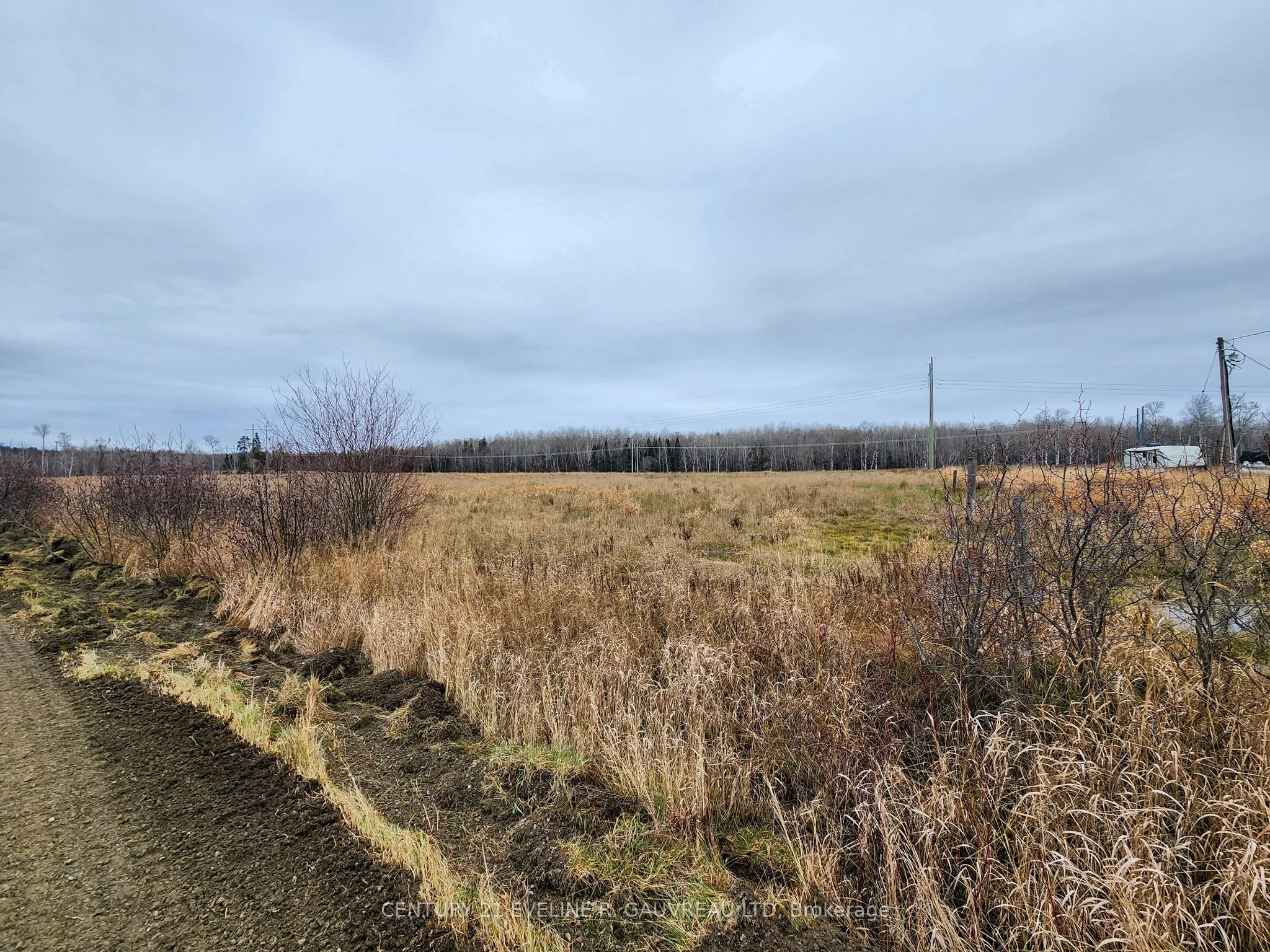 Lot 4 Seeds Road, Temiskaming Shores, ON P0J 1K0