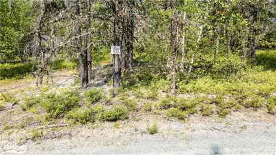 Vacant Land in Black River Matheson