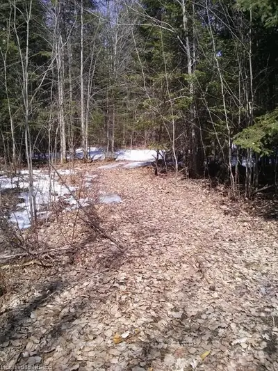 Pt Lot 11 Con 5 Calvin Twp, Cochrane Remote Area, On, P0h 1v0