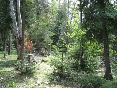 101 Myles Bayshore Road, Northern Bruce Peninsula, On N0h 1w0