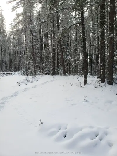 Vacant Land in Timmins