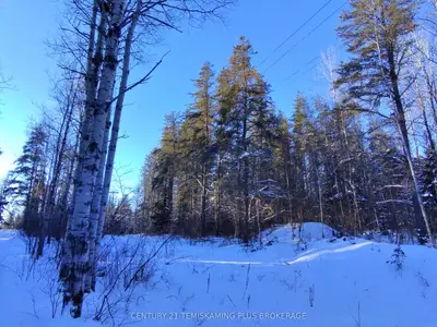 Vacant Land in Timiskaming