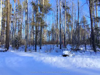 Vacant Land in Timiskaming