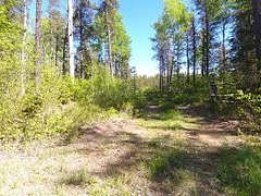 0 Airport Road, Coleman, ON P0J 1C0
