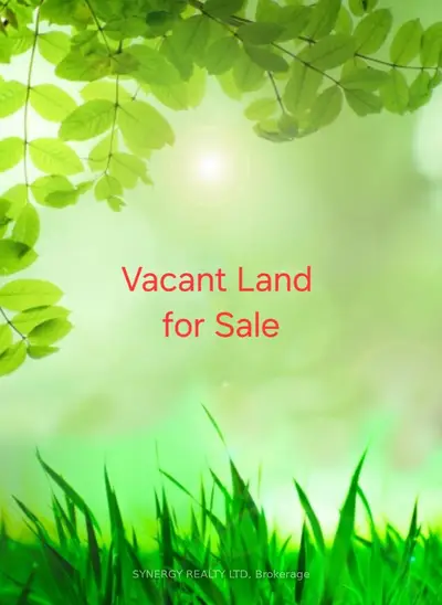 Vacant Land in Englehart
