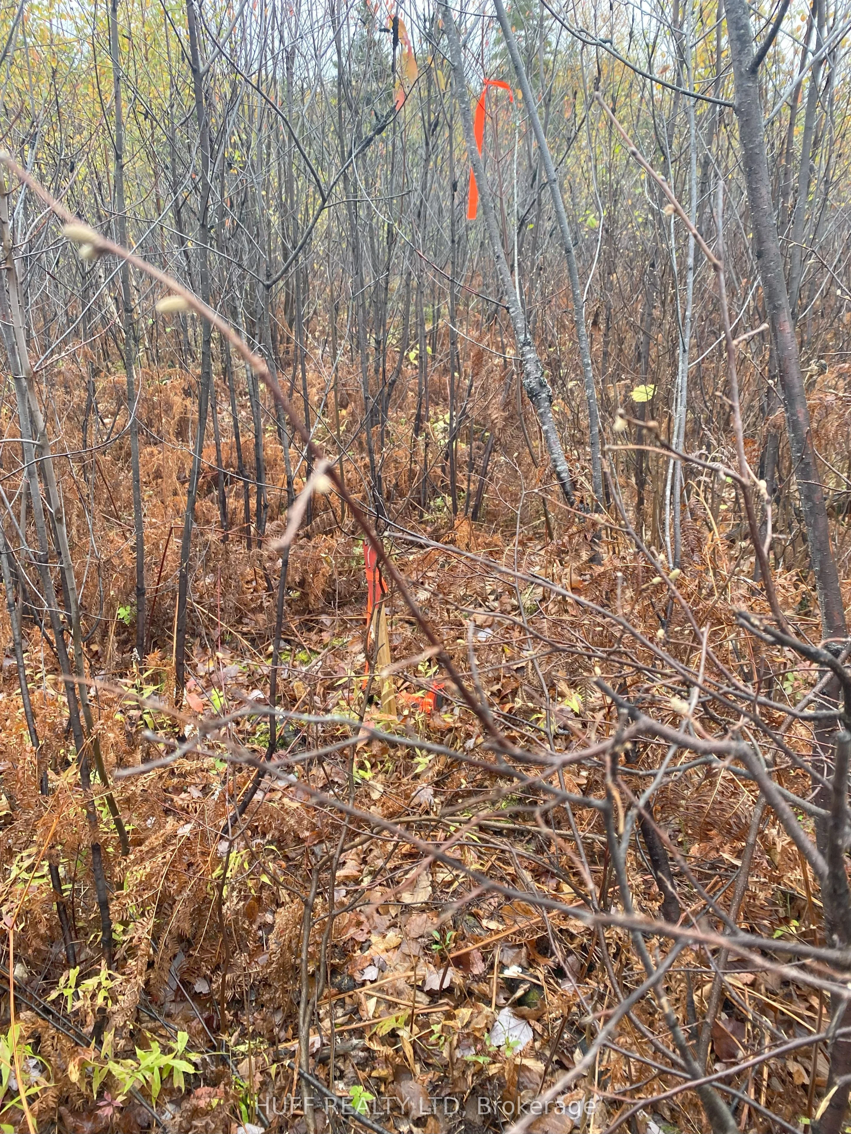Lt 1 Con 6 54r-6390 Lot 1 Con 6 Marter Twp Road, Englehart, On P0j 1h0