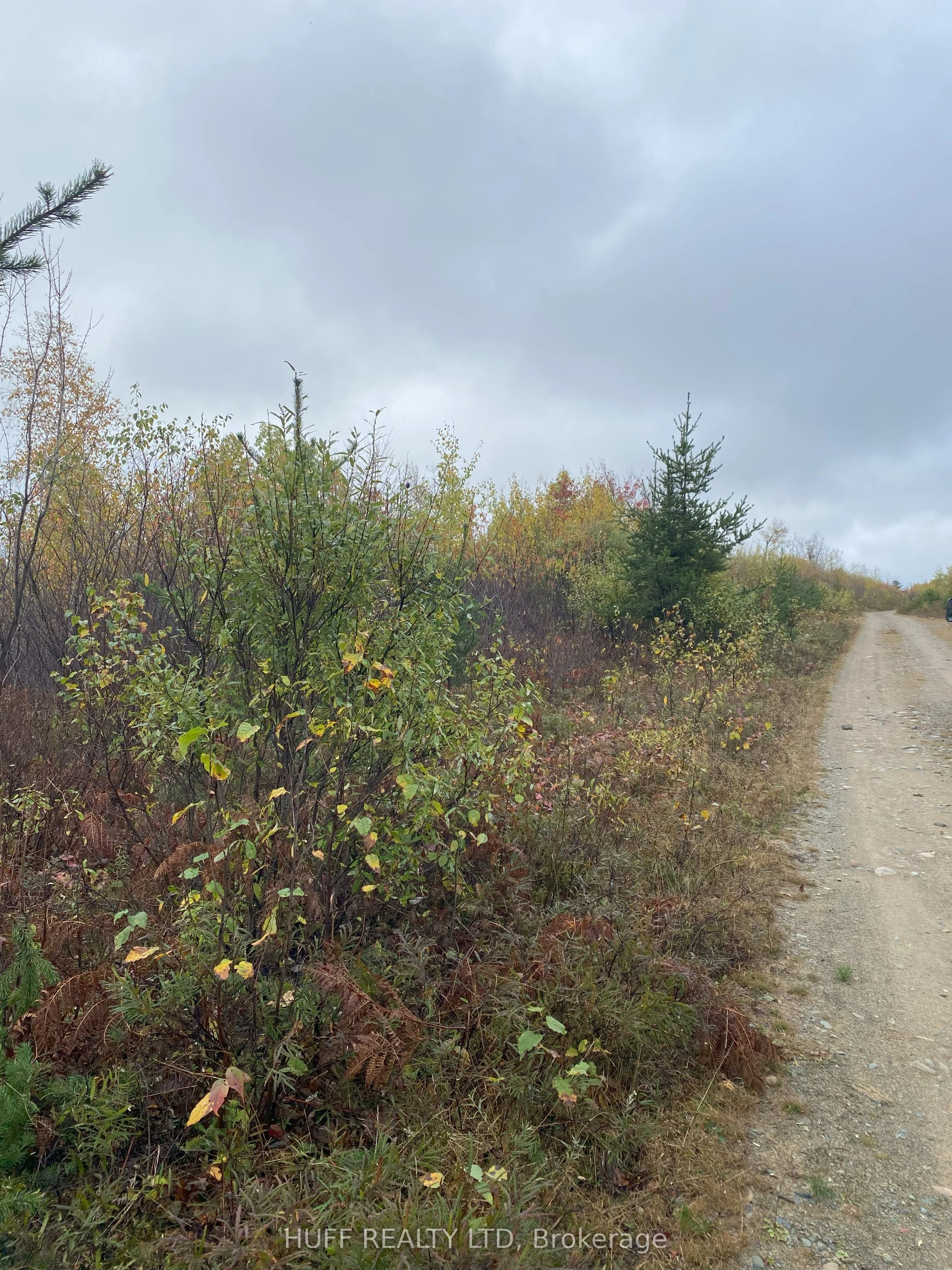 Lt 1 Con 6 54r-6390 Lot 1 Con 6 Marter Twp Road, Englehart, On P0j 1h0