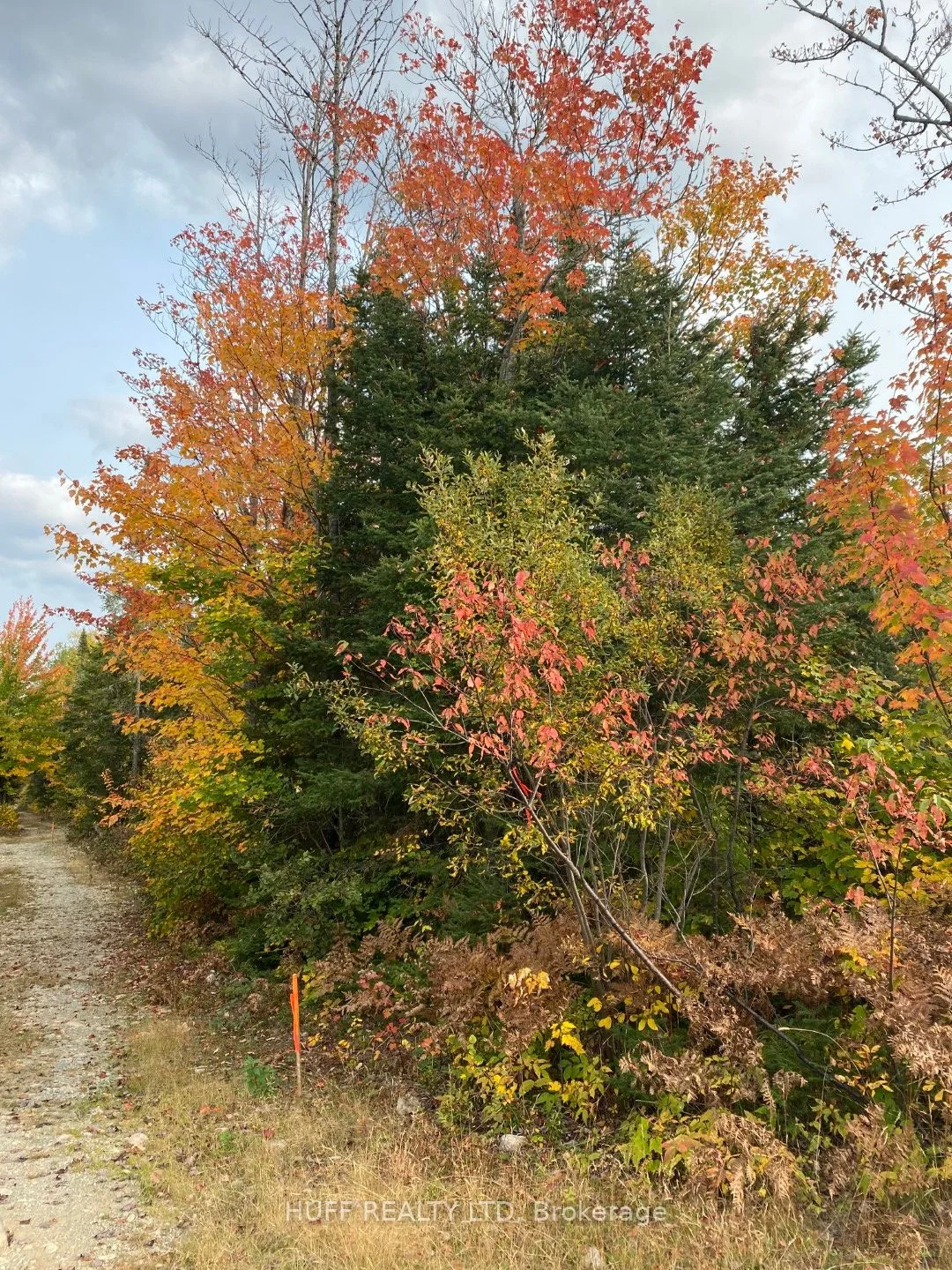 L1c1 54r-6371 Catharine Road, Englehart, On P0j 1h0