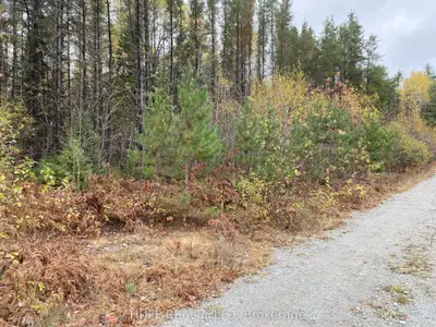 Lot 1 Con 5 Marter 54r-6396 Road, Englehart, On P0j 1h0