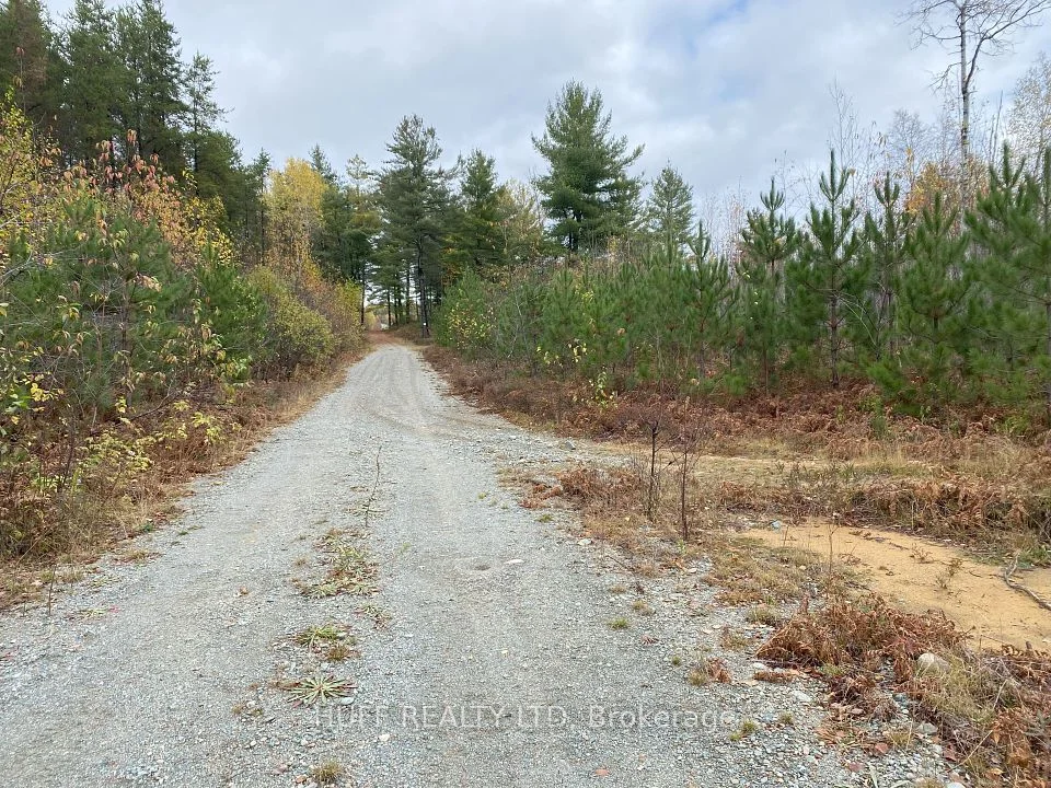 Lot 1 Con 5 Marter 54R-6396 Road, Englehart, ON P0J 1H0