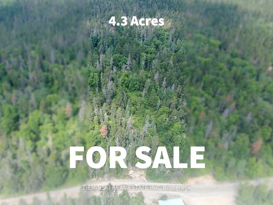 Lot 10 PLAM 6M499, North Munro Lake Road, Black River-Matheson, ON P0K 1N0