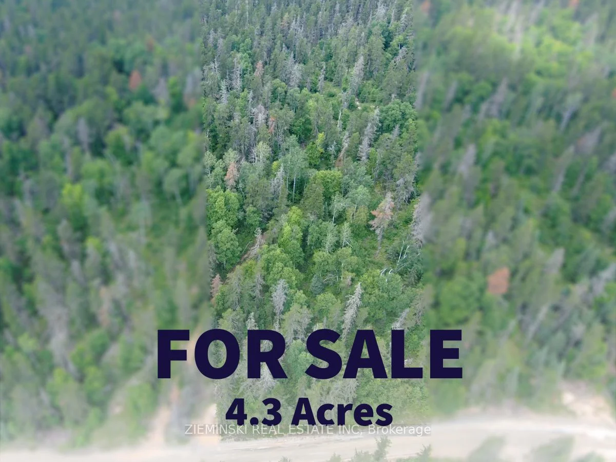 Lot 11 PLAN 6M499, North Munro Lake Road, Black River-Matheson, ON P0K 1N0