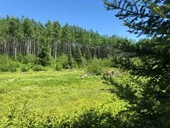 38.24 Acres In Ogden Township - Pcl 24640, Timmins, On, P4n 7c2