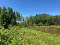 38.24 Acres In Ogden Township - Pcl 24640, Timmins, On P4n 7c2